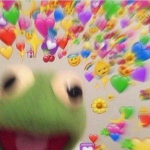 Meet your Posher, Ali